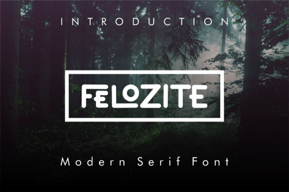 Felozite: A Modern Serif Typeface for Editorial Magic