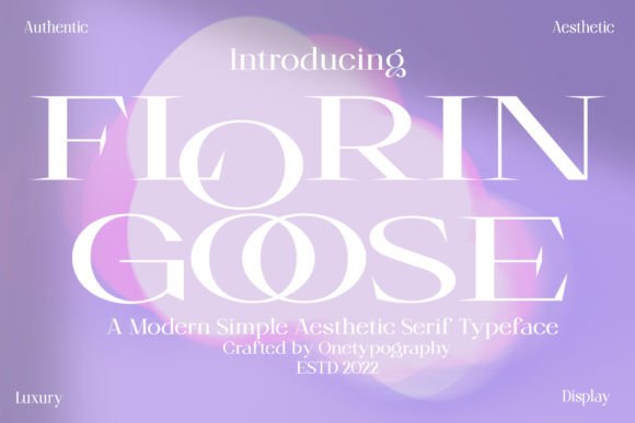 Florin Goose Font Review for Modern Campaigns