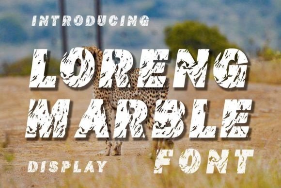 Loreng Marble Font Review: A Unique Display Choice